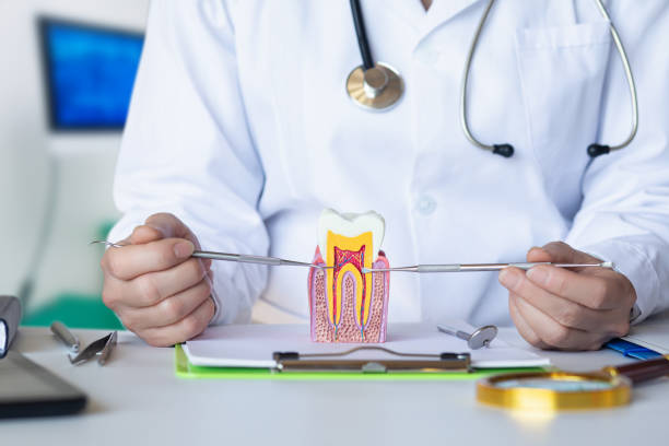 Best Emergency Treatment for Oral Infections in Timonium, MD
